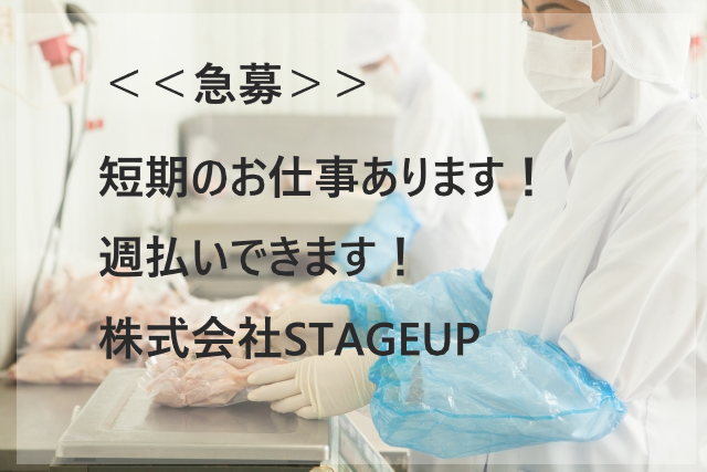 【短期限定】食品製造/男女ともに活躍中/週払いOK/２０代からシニアの方まで幅広く活躍中☆NO.04630341 イメージ