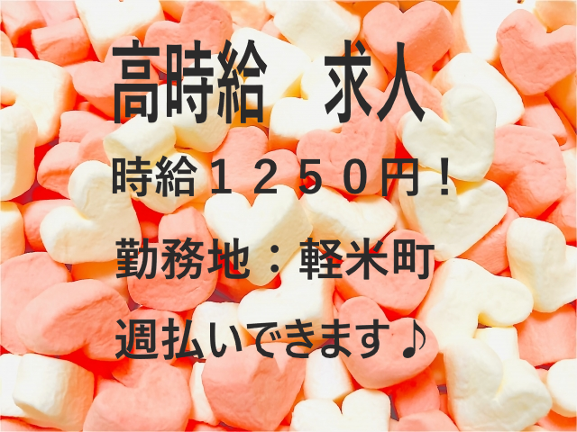 🆕🌸組立・検査🌸/未経験者歓迎・１～２週間座学で丁寧に指導致します/日勤で土日休み✨/女性活躍中☺/週払いOK💰NO.1434451 イメージ