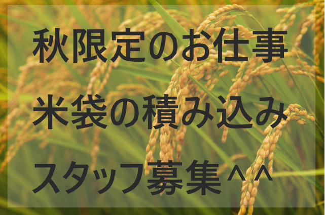 NEW＜短期限定＞お米の集荷スタッフ／岩手奥州市／給与前払いＯＫ/日祝休み✨/男性活躍中👌/給与前払いOK💰NO.03768251 イメージ